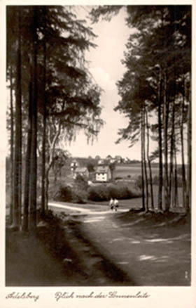 Adelsberg - Blick nach der Sonnenleite