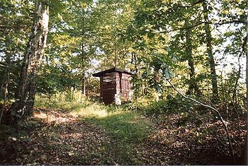 eichbusch