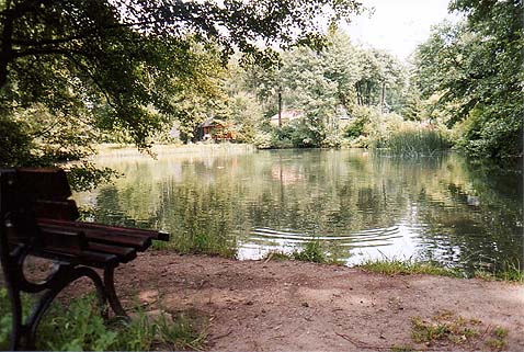 Waldweg