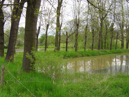 Zwei Weiher